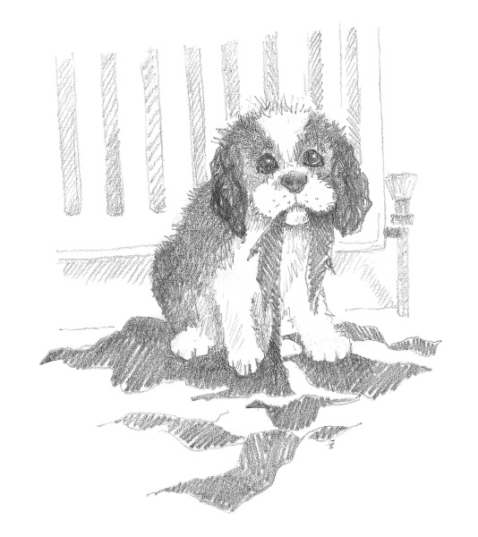 Иллюстрация к книге — Щенок Тимми, или Я иду искать! [i_035.jpg]