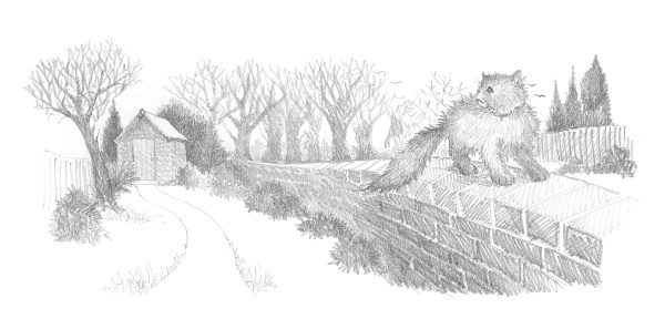 Иллюстрация к книге — Щенок Тимми, или Я иду искать! [i_041.jpg]