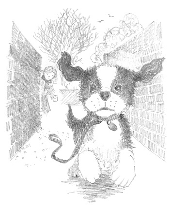 Иллюстрация к книге — Щенок Тимми, или Я иду искать! [i_046.jpg]