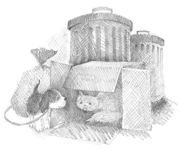 Иллюстрация к книге — Щенок Тимми, или Я иду искать! [i_047.jpg]