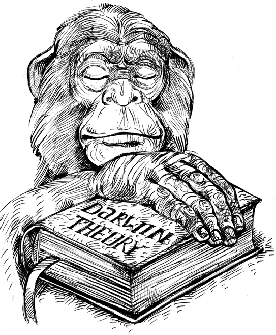 Иллюстрация к книге — Разные человечества. Эволюция. Разум. Антропология [_14.jpg]