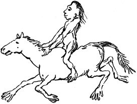 Иллюстрация к книге — Разные человечества. Эволюция. Разум. Антропология [_15.jpg]