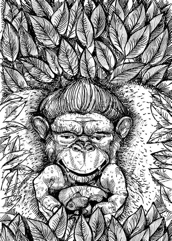 Иллюстрация к книге — Разные человечества. Эволюция. Разум. Антропология [_24.jpg]