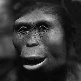 Иллюстрация к книге — Разные человечества. Эволюция. Разум. Антропология [_27.jpg]