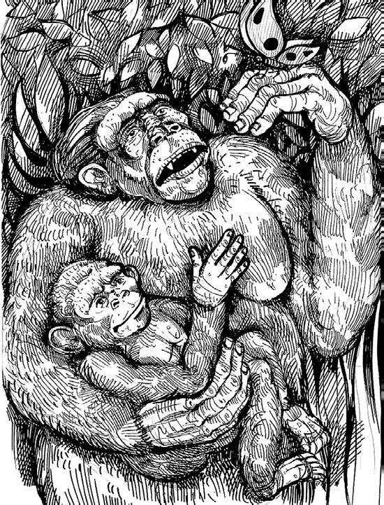 Иллюстрация к книге — Разные человечества. Эволюция. Разум. Антропология [_29.jpg]