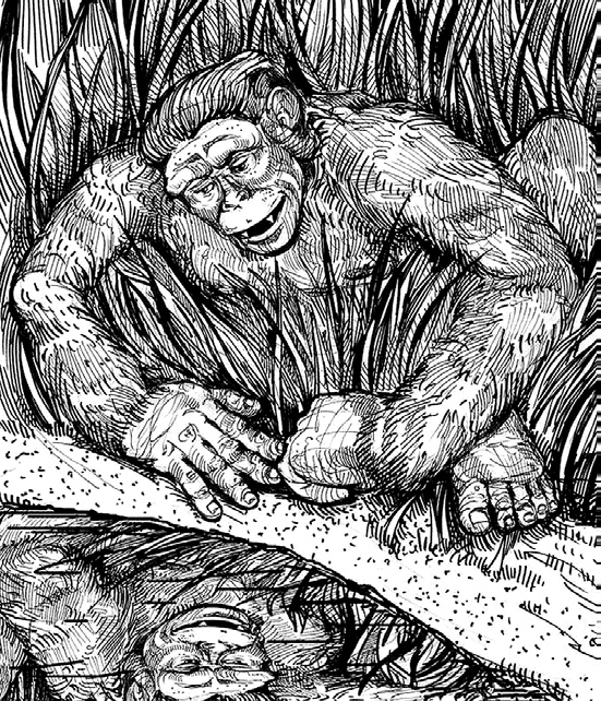 Иллюстрация к книге — Разные человечества. Эволюция. Разум. Антропология [_33.jpg]