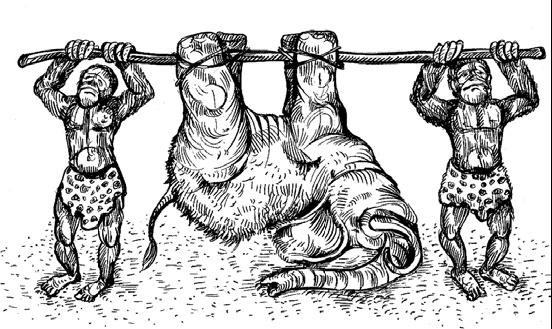 Иллюстрация к книге — Разные человечества. Эволюция. Разум. Антропология [_37.jpg]