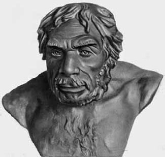 Иллюстрация к книге — Разные человечества. Эволюция. Разум. Антропология [_38.jpg]