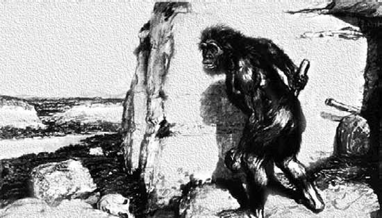 Иллюстрация к книге — Разные человечества. Эволюция. Разум. Антропология [_39.jpg]