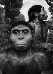 Иллюстрация к книге — Разные человечества. Эволюция. Разум. Антропология [_5.jpg]