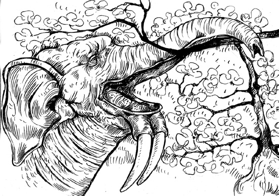 Иллюстрация к книге — Разные человечества. Эволюция. Разум. Антропология [_50.jpg]