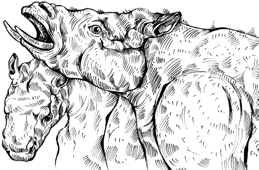 Иллюстрация к книге — Разные человечества. Эволюция. Разум. Антропология [_51.jpg]