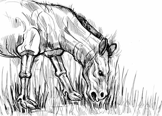 Иллюстрация к книге — Разные человечества. Эволюция. Разум. Антропология [_52.jpg]