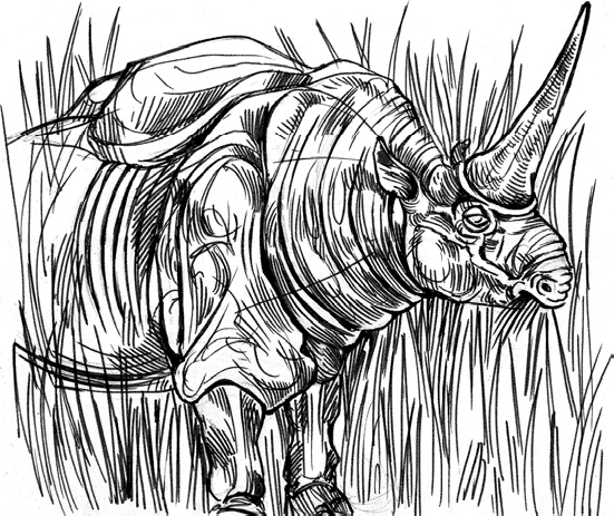 Иллюстрация к книге — Разные человечества. Эволюция. Разум. Антропология [_54.jpg]