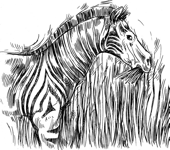 Иллюстрация к книге — Разные человечества. Эволюция. Разум. Антропология [_56.jpg]