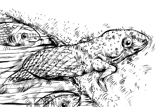 Иллюстрация к книге — Разные человечества. Эволюция. Разум. Антропология [_59.jpg]