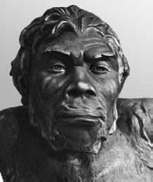 Иллюстрация к книге — Разные человечества. Эволюция. Разум. Антропология [_6.jpg]