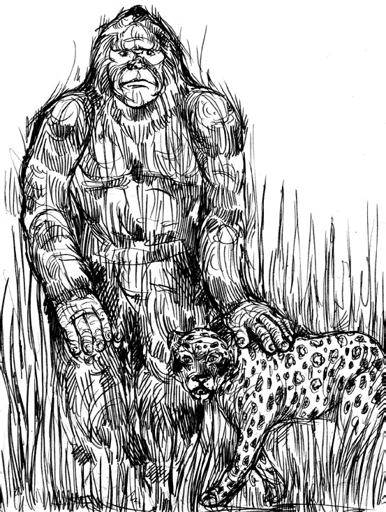 Иллюстрация к книге — Разные человечества. Эволюция. Разум. Антропология [_71.jpg]