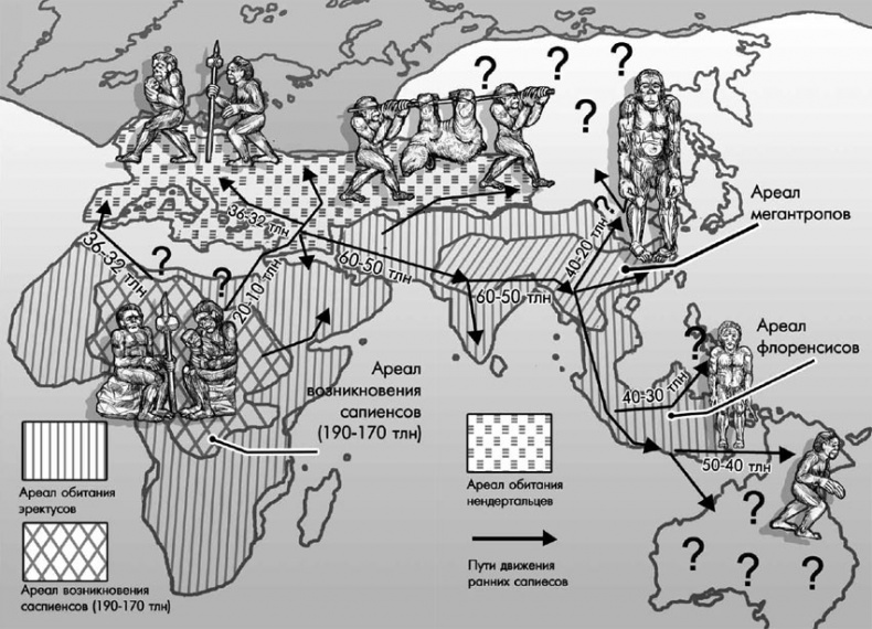 Иллюстрация к книге — Разные человечества. Эволюция. Разум. Антропология [_79.jpg]