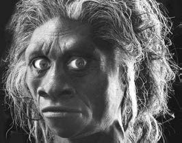 Иллюстрация к книге — Разум и цивилизация, или Мерцание в темноте. Эволюция. Разум. Антропология [_1.jpg]