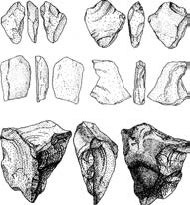 Иллюстрация к книге — Разум и цивилизация, или Мерцание в темноте. Эволюция. Разум. Антропология [_20.jpg]