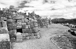 Иллюстрация к книге — Разум и цивилизация, или Мерцание в темноте. Эволюция. Разум. Антропология [_22.jpg]