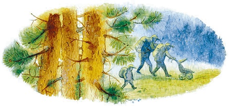 Иллюстрация к книге — Мы и большущее озеро [i_004.jpg]