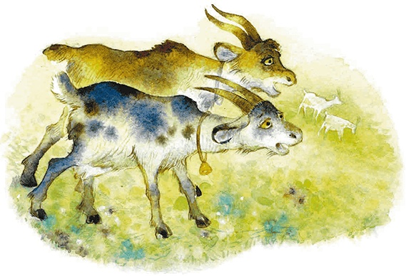 Иллюстрация к книге — Мы и большущее озеро [i_005.jpg]