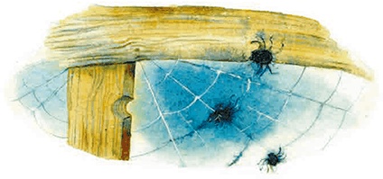 Иллюстрация к книге — Мы и большущее озеро [i_011.jpg]