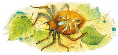 Иллюстрация к книге — Мы и большущее озеро [i_021.jpg]