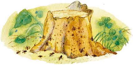 Иллюстрация к книге — Мы и большущее озеро [i_026.jpg]