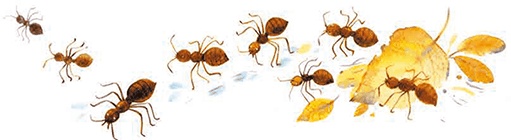 Иллюстрация к книге — Мы и большущее озеро [i_027.jpg]