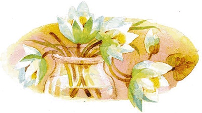 Иллюстрация к книге — Мы и большущее озеро [i_033.jpg]