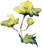 Иллюстрация к книге — Мы и большущее озеро [i_034.jpg]