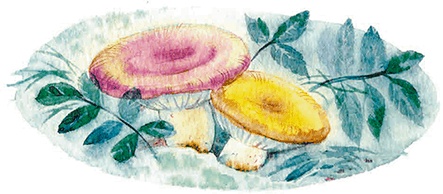 Иллюстрация к книге — Мы и большущее озеро [i_039.jpg]