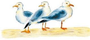 Иллюстрация к книге — Мы и большущее озеро [i_046.jpg]