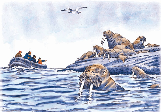 Иллюстрация к книге — Навстречу белому медведю [i_011.jpg]