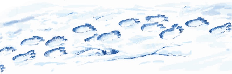 Иллюстрация к книге — Навстречу белому медведю [i_018.jpg]