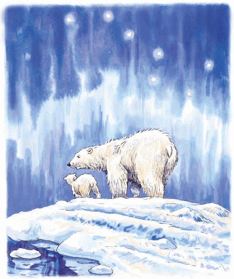 Иллюстрация к книге — Навстречу белому медведю [i_019.jpg]