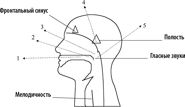 Иллюстрация к книге — 50 упражнений, чтобы успешно выступать на публике [i_012.jpg]