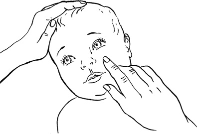 Иллюстрация к книге — Я мама первый год. Книга о счастливом материнстве [i_004.jpg]