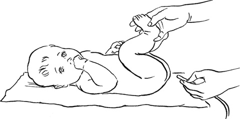 Иллюстрация к книге — Я мама первый год. Книга о счастливом материнстве [i_026.jpg]