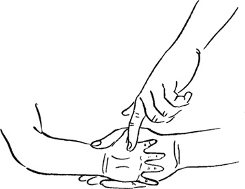 Иллюстрация к книге — Я мама первый год. Книга о счастливом материнстве [i_150.jpg]