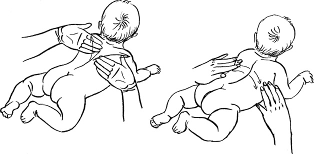 Иллюстрация к книге — Я мама первый год. Книга о счастливом материнстве [i_204.jpg]