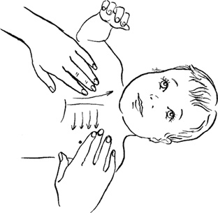 Иллюстрация к книге — Я мама первый год. Книга о счастливом материнстве [i_206.jpg]