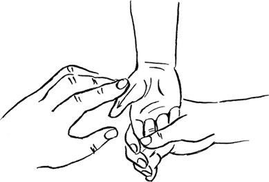 Иллюстрация к книге — Я мама первый год. Книга о счастливом материнстве [i_224.jpg]