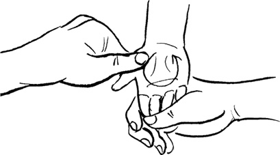 Иллюстрация к книге — Я мама первый год. Книга о счастливом материнстве [i_225.jpg]