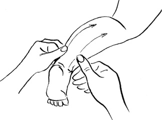 Иллюстрация к книге — Я мама первый год. Книга о счастливом материнстве [i_235.jpg]