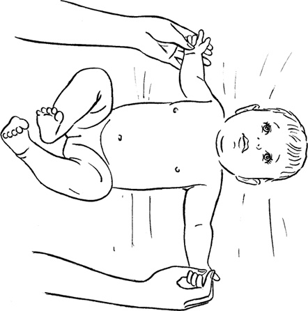 Иллюстрация к книге — Я мама первый год. Книга о счастливом материнстве [i_248.jpg]