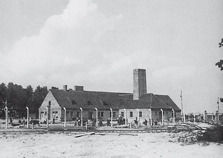 Иллюстрация к книге — Свитки из пепла [i_103.jpg]